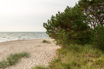 Fototapeta na wymiar Ostseeküste bei Thiessow, Insel Rügen, Mecklenburg-Vorpommern, Deutschland