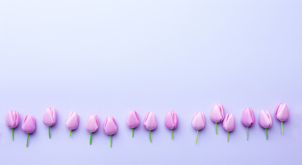 Lilac & Light Violet Tulip Concept Banner: Spring and Floral Wallpaper for Easter, Mother's Day, or Women's Day Greetings.