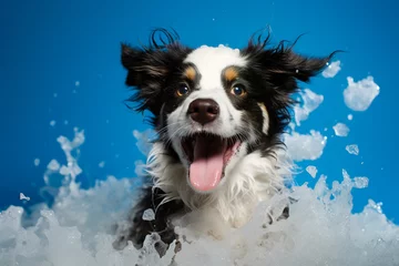 Rolgordijnen A joyful dog is taking a bath, surrounded by soap suds, splashes and bubbles. © Evgeniya Uvarova