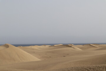 desierto con mar en el horizonte