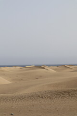 desierto de arena con playa al fondo