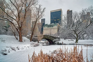 Foto auf Acrylglas Gapstow-Brücke Gapstow Bridge in Central Park,snow storm