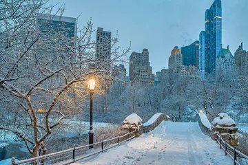 Acrylic prints Gapstow Bridge Gapstow Bridge in Central Park,snow storm