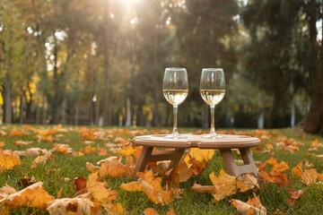 Glasses of wine on wooden wine table in the park, during the sun set, golden hour, with autumn...