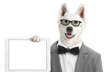 Cute funny dog with glasses on white background