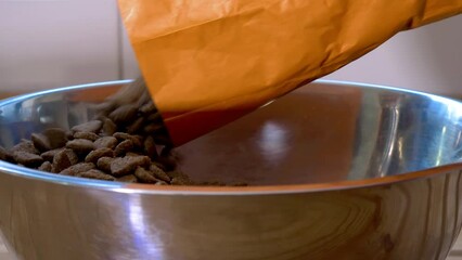 Closeup of a large amount of dry, crunchy, complete dog food kibble, being poured from an orange product bag into a big steel bowl.
