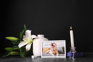 Frame with picture of dog, lily flowers, collar and burning candles on dark background. Pet funeral
