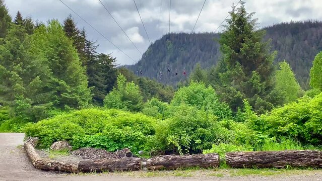 Icy Strait Point, Alaska:  World's largest ZipRider, with six 5,330' ziplines dropping 1330'. Native Alaskan privately owned, operated cruise ship port. Popular excursion. 