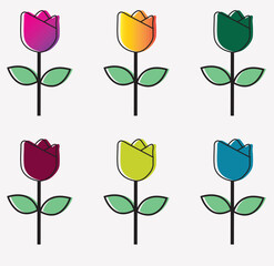 set of green and pink roses