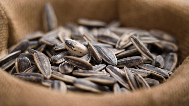 Roasted salted sunflower seeds falling in slow motion close up