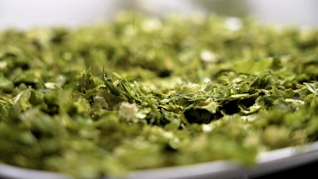 Dry laminaria kelp seaweed falling in slow motion close up on a white dish. Rotation
