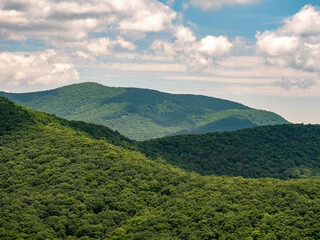 Smoky Mountains, Appalachian Mountains, Beautiful Landscape of Trees and Sky in the Eastern United States 01