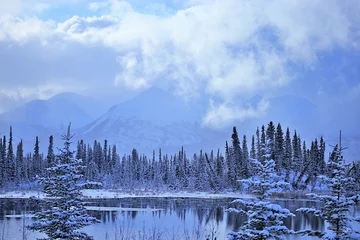 Türaufkleber Wald im Nebel Pond and mountains 