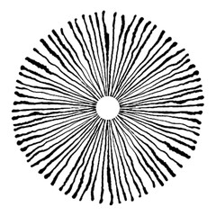 Obraz premium Spotted spray texture