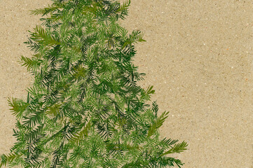 Ilustracja grafika zielona choinka gotowa do przystrojenia szablon jasne ciepłe tło tekstura.	



