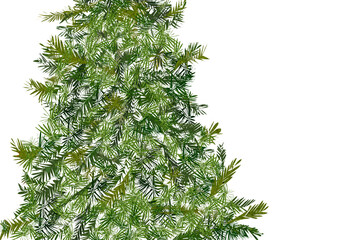 Ilustracja grafika zielona choinka gotowa do przystrojenia szablon białe tło.