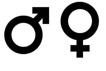 male and female symbols. Gender male, femele symboles. Male and female gender symbols on transparent background
 - obrazy, fototapety, plakaty