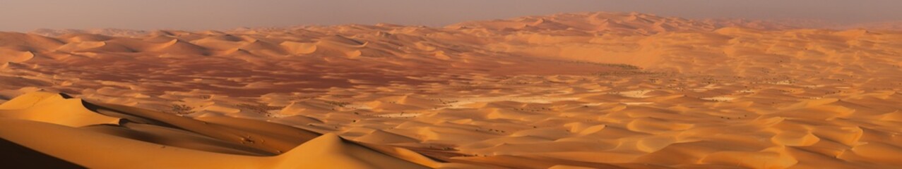Panorama of beautiful desert sand dunes, in Liwa, Rub'al Khali, united arab emirates