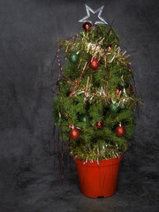 Small real Christmas tree with tinsel, baubles in pot on background