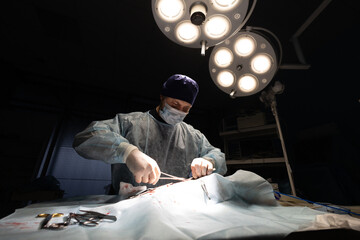 The surgeon operates under a surgical lamp. A surgeon at work in the operating room. The surgeon...