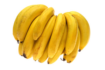 bunch of dwarf bananas on cutout background