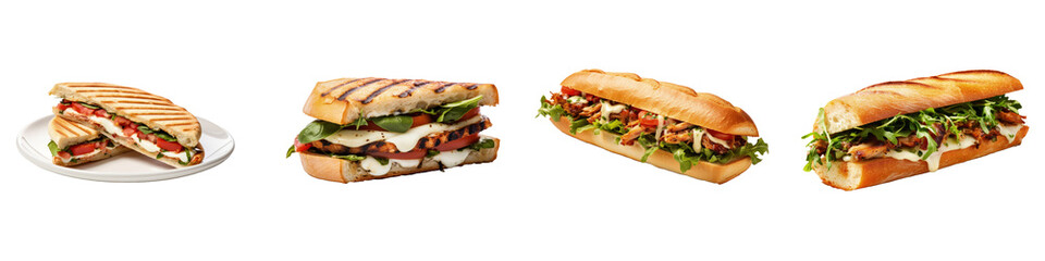 Set of different sandwiches such as Italian Caprese panini, Italian porchetta sandwich