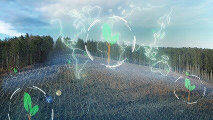 Reforestation with graphic overlay of world map and trees planting. Green sustainable environment