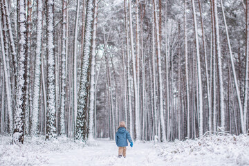 A child walks in a snowy forest