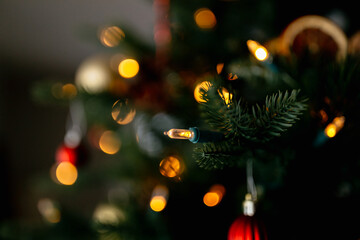 christmas tree lights