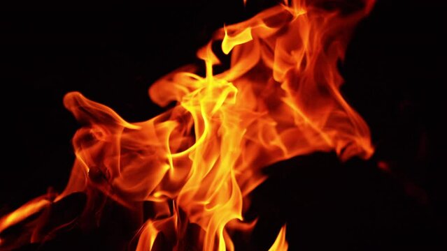 Tree branches burning in the big bonfire. Campfire isolated on the black backdrop.