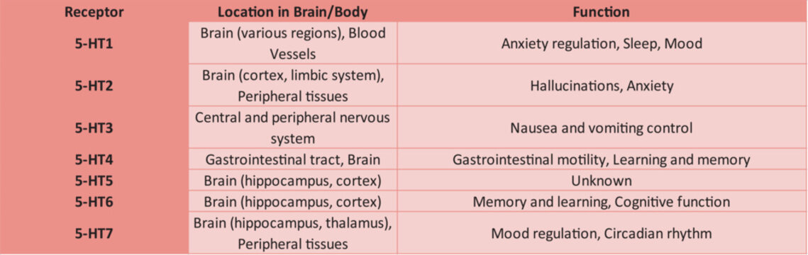 Table Showing Characteristics of Serotonin Receptors - subtypes, locations in the brain/body and functionScientific illustration.