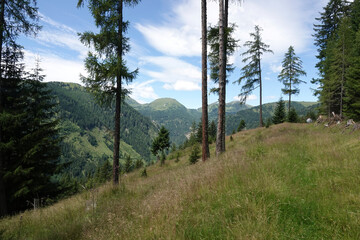 Wide angle landscape view on foggy mountains against a grey sky in the Carpathian alps, Austria