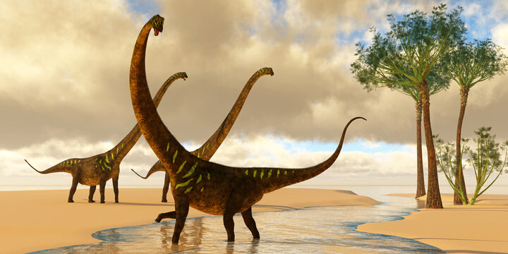 Mamenchisaurus at the Beach - Mamenchisaurus sauropod dinosaurs play in a stream with Wattieza trees grow nearby.