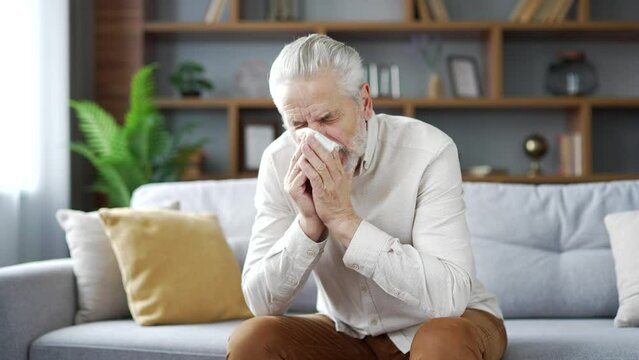 Elderly senior gray haired man with an allergy sneezes sitting on sofa in living room at home. Sick allergic adult mature grandfather wipes his nose with a handkerchief. He has a cold, virus, or flu