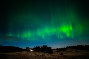 Beautiful aurora borealis lightens up the sky