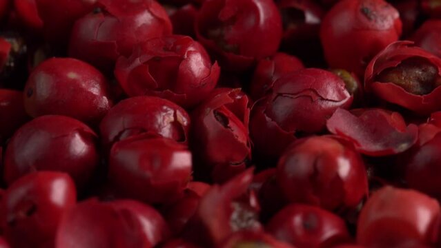 Pink peppercorns or himalayan red pepper berries rotating background in macro low light. Spice is known as peruvian peppertree or brazilian pepper