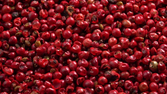 Pink peppercorns or himalayan red pepper berries rotating background closeup top view side light. Spice is known as peruvian peppertree or brazilian pepper