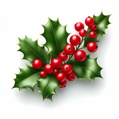 Christmas Holly with Big Red Berries on White Background