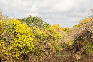 Deep into the countryside forest with a flowing river