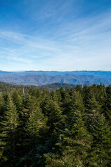 Great Smoky Mountain Views
