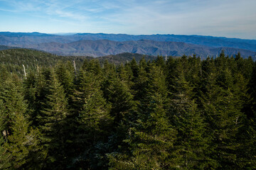 Great Smoky Mountain Views