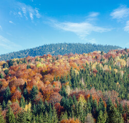 Autumn colorful forest in Carpathian Mountains (Guta, Ivano-Frankivsk oblast, Ukraine).