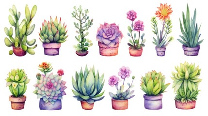 Watercolor succulents in pots isolated on white background. Hand drawn illustration Generative AI