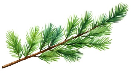 Pine branch isolated on white background. Watercolor hand drawn illustration Generative AI
