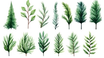 Set of hand drawn pine branches. illustration isolated on white background. Generative AI