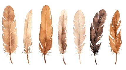 Brown Feathers Collection on White Background AI Generated