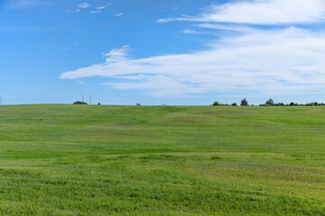 a field with green grass in the summer season