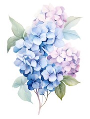 Soft Watercolor Hydrangea Cluster in Blue and Purple Shades AI Generated