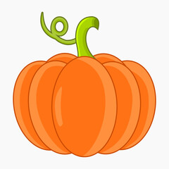 Pumpkin vector illustration isolated on white background