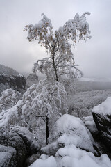 Die Breite Kluft-Aussicht (von Rauschenstein, linkselbisch Zschirnstein, Zirkelstein bis zur Kaiserkrone) der Schrammsteine (Nationalpark S&auml;chsische Schweiz) ist im Winter ein besonderes Bergerlebnis.